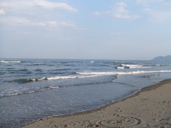 2007.5 延岡の海 021.jpg